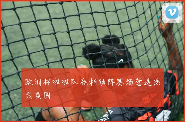 欧洲杯啦啦队亮相助阵赛场营造热烈氛围