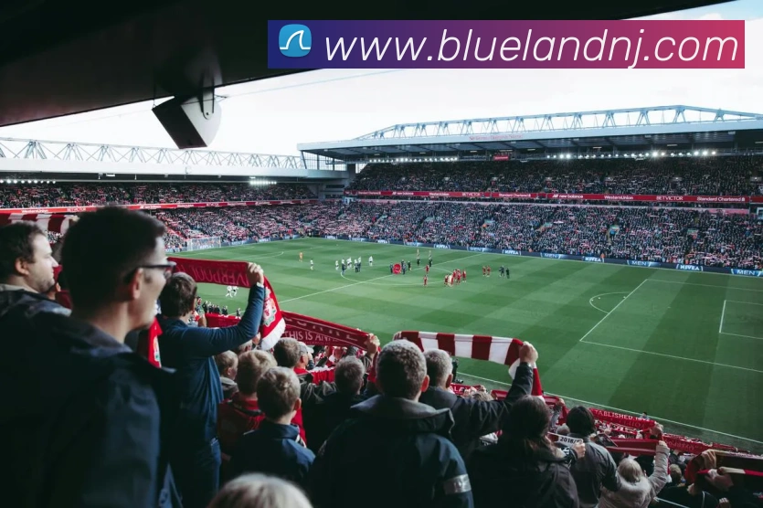 世界杯开户平台发展历程